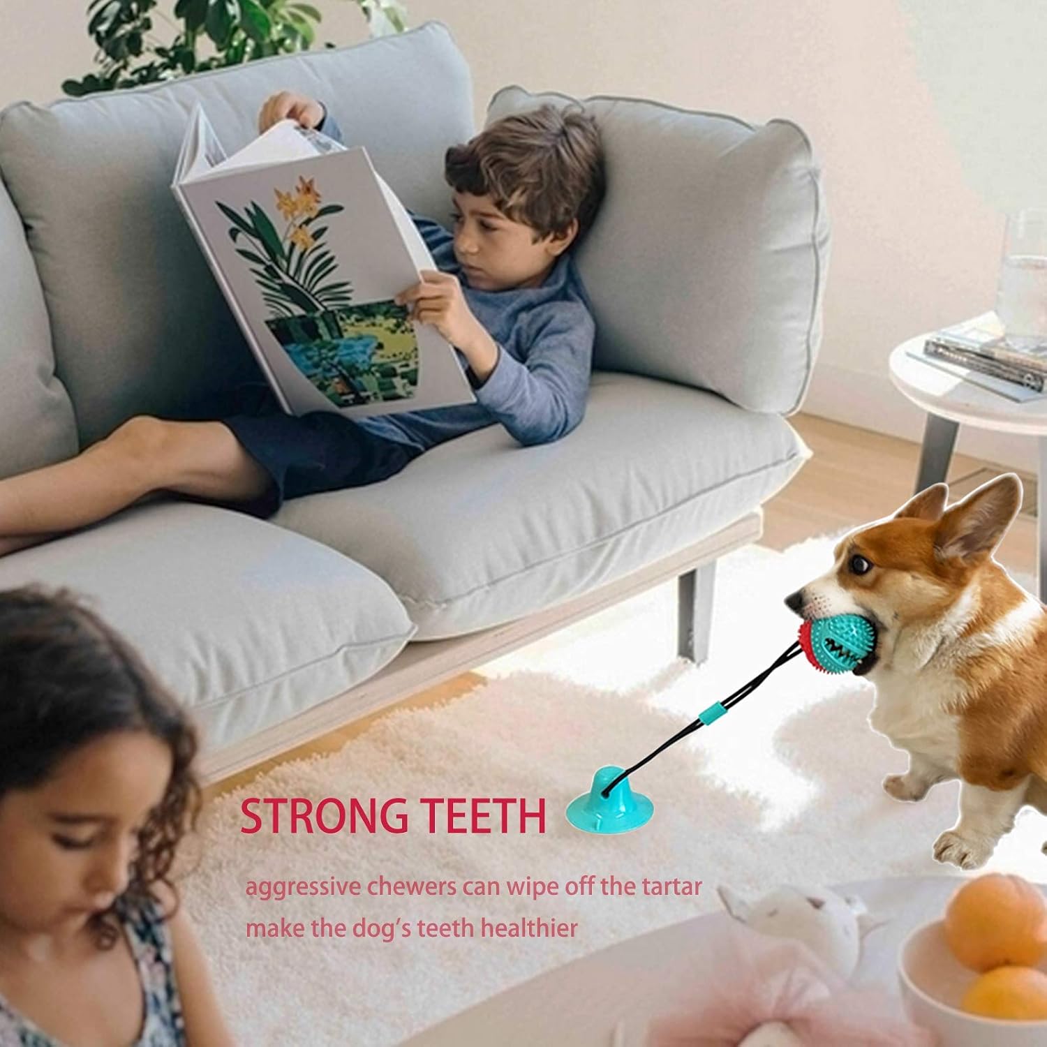 Dog Toys Chew Toys for Aggressive chewers, Puppy Training Treats Teething Rope Toys for Boredom Dog Puzzle Treat Food