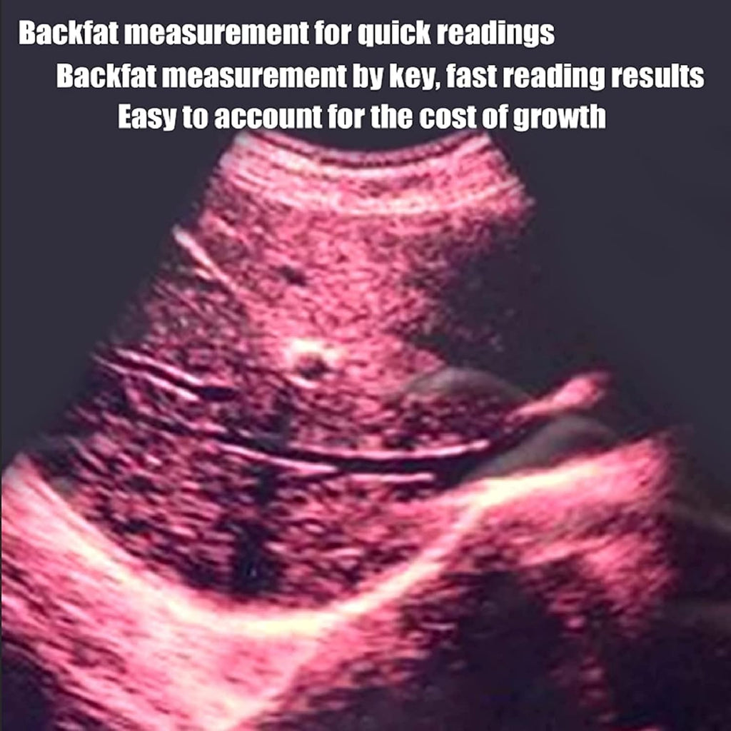 Dog Pregnancy Test Ultrasound Scanner Veterinary Machine Laptop 12 Inch Portable Black White Doppler Farm Animals