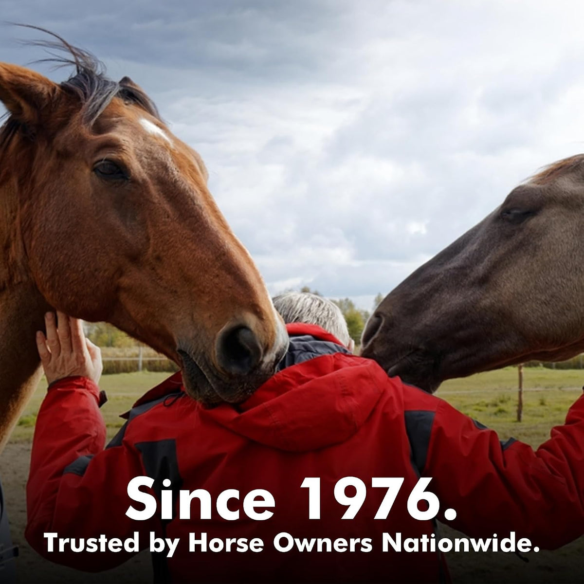 Hoof Supplement for Horses