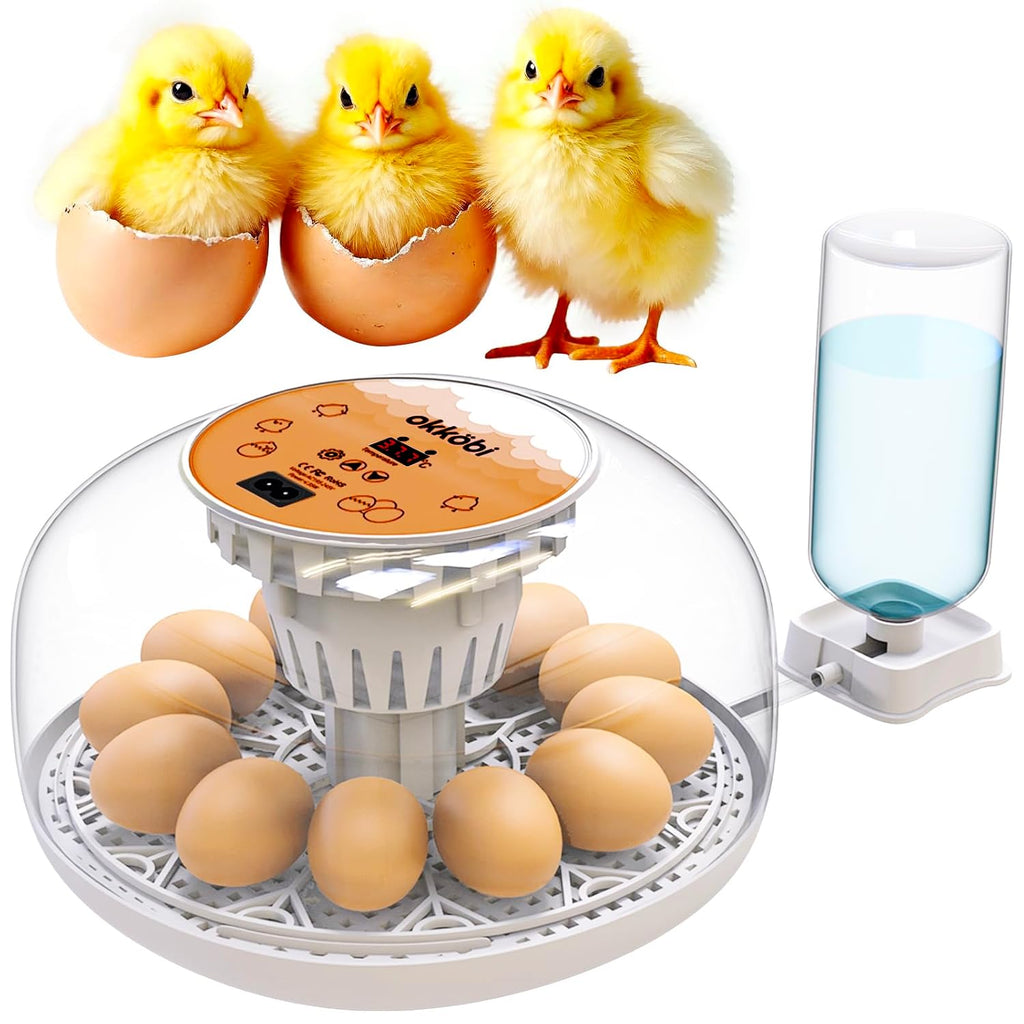 M12 Egg Incubator with Automatic Turning and Humidity Control, 12-24 Eggs