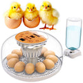 M12 Egg Incubator with Automatic Turning and Humidity Control, 12-24 Eggs
