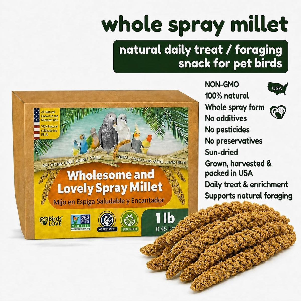 1 LB Wholesome Spray Millet for Birds – USA Grown, Non-GMO,Natural Sun-Dried Millet Sprays – Thick Seed-Rich Clusters