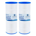 2 Pack C1200 Pool Filter Compatible with Hayward CX1200RE, PA120