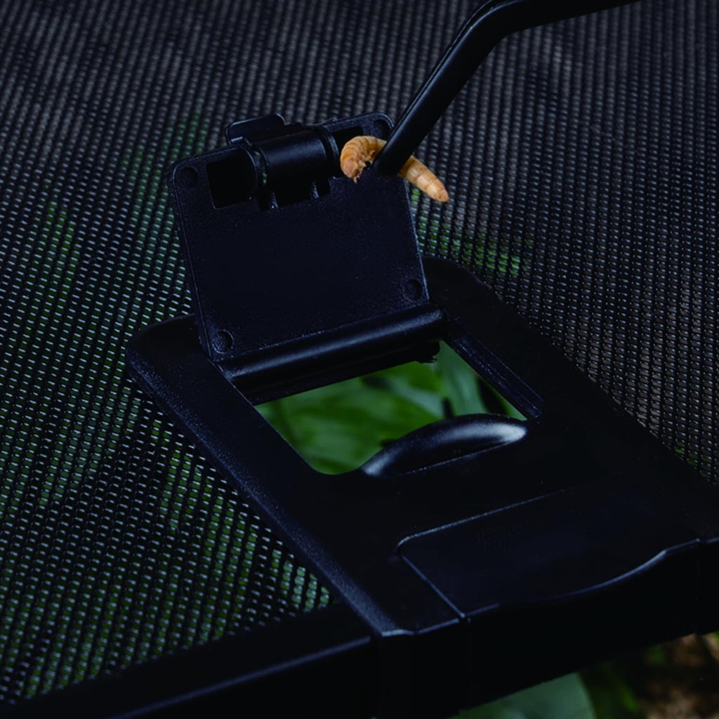 Reptile Terrarium Tank, Glass Reptile Vivarium, Sliding Mesh Cover, for Lizards, Horned Frogs, Snakes, Spiders