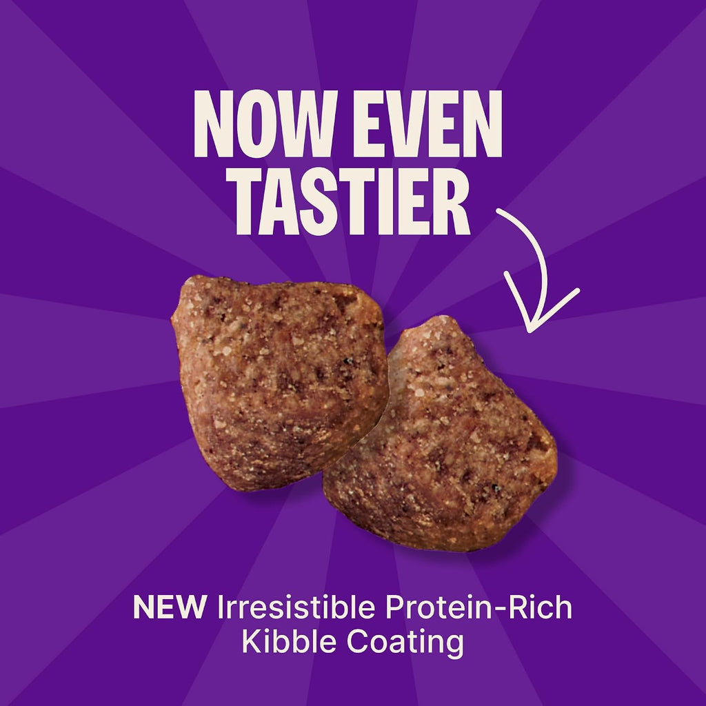 Complete Health Sensitive Skin and Stomach Dry Dog Food, Wholesome Grain Kibble, Natural, Chicken Free, Salmon and