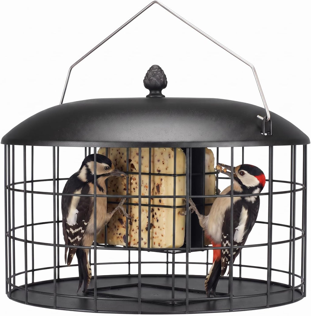 Squirrel Proof Suet Feeder for Woodpeckers, All Metal Caged Feeders