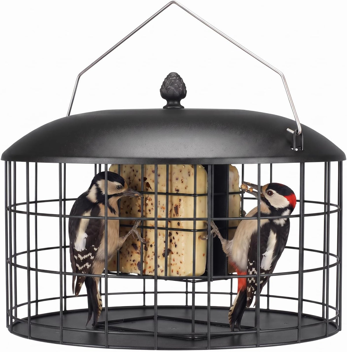 Squirrel Proof Suet Feeder for Woodpeckers, All Metal Caged Feeders
