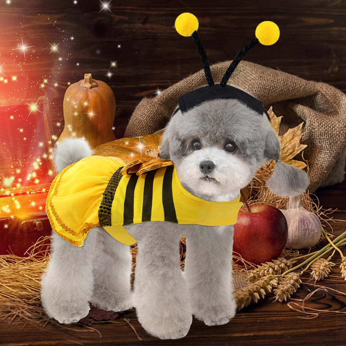 Bee Dog Halloween Costumes, Bumblebee Dog Costume for Small Medium Dogs Cats, Puppy Clothes Outfit Dress with Cap for