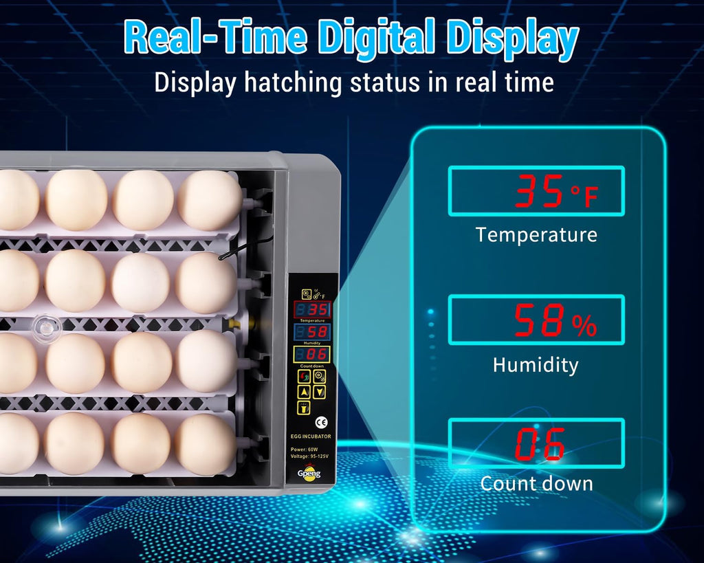 Egg Incubator, 24 Eggs Incubator with Digital Display, Auto Egg-Turning, Auto Temperature Control
