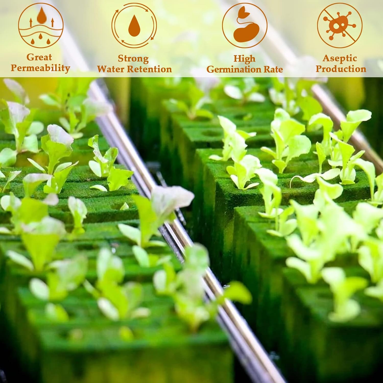 1 Inch Rockwool Cubes Seed Starter Plugs for Hydroponics, 200 Plugs | Promotes Germination Rate & Root Growth