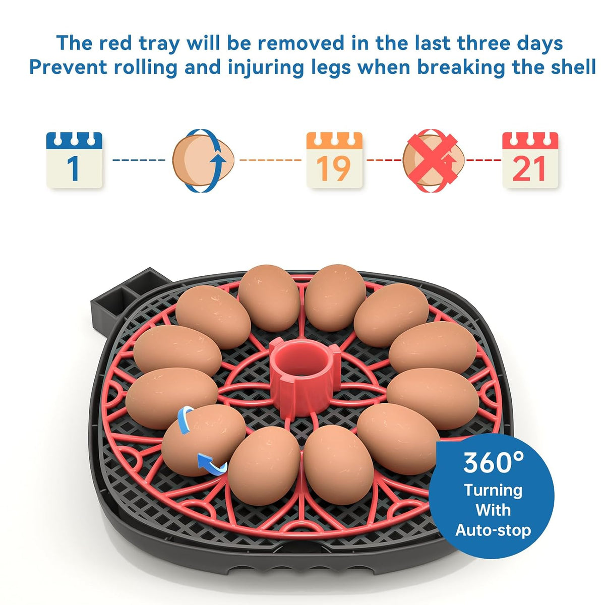 12-24 Egg Incubator incubators for Hatching Eggs