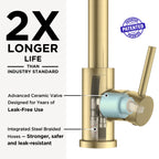 Kitchen Faucet, 2-Mode Pull Down Sprayer, Classic Brushed Gold
