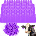 100 Pcs Blank Cattle Ear Tags Large Plastic Animal Cow Tags, Purple