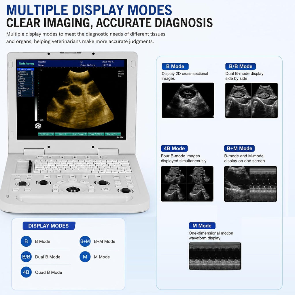 N20+3.5MHz Convex Probe Protable Laptop Veterinary Ultrasound Machine