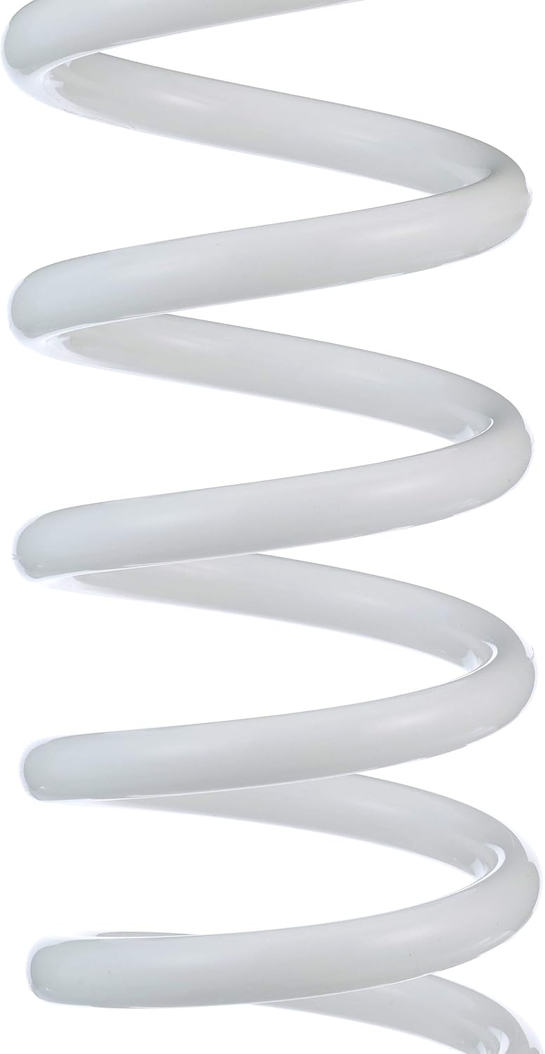Seachoice Coiled Washdown Hose w/ Sprayer and Brass Fittings, 25 Ft., White