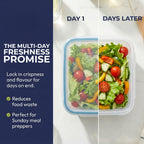 Plastic Total Solutions (5-Pack, 3 Cup) Food Storage Containers