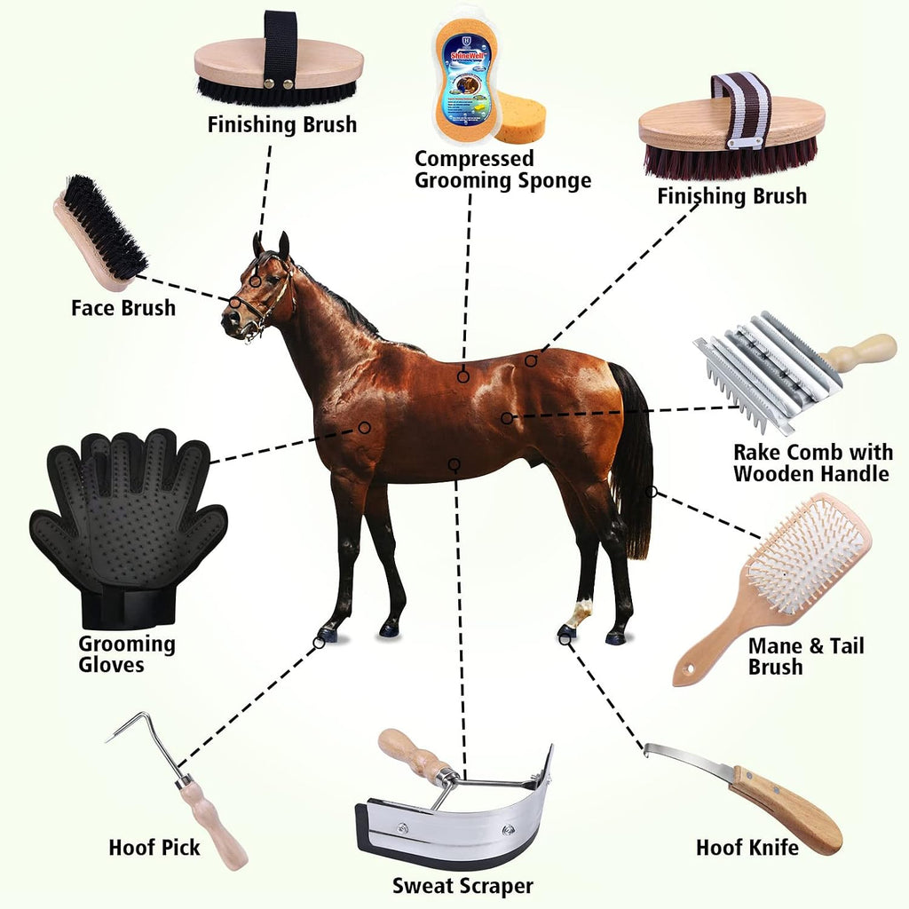 Horse Grooming Kit 10-Piece Wooden Brush Set with Storage Case Tack Room Supplies Shedding Grooming Massaging Tools