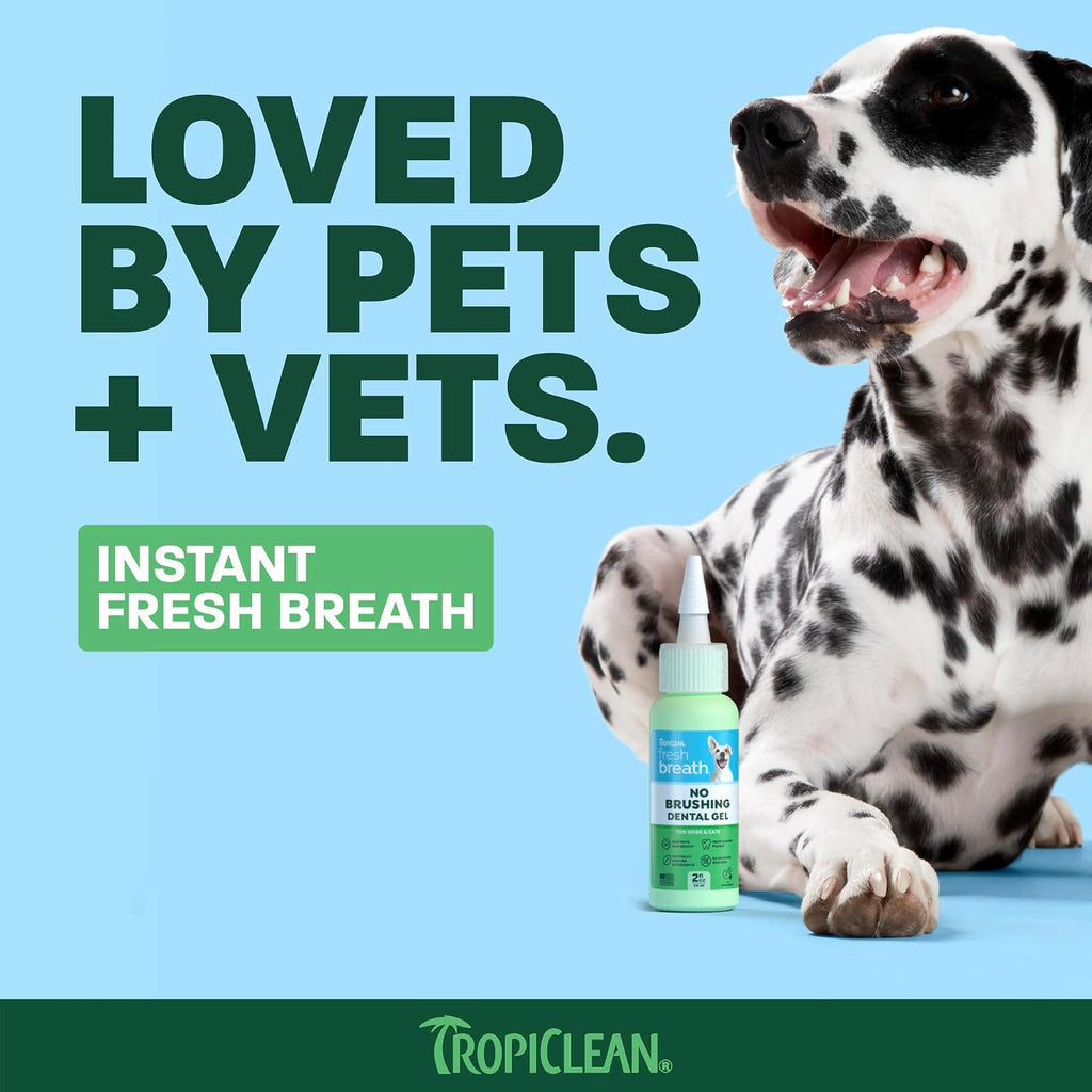 Clean Teeth Gel for Dogs | Dog Dental Care | Dog Toothpaste | Breath Freshener | Easy Teeth Cleaning | Made in the