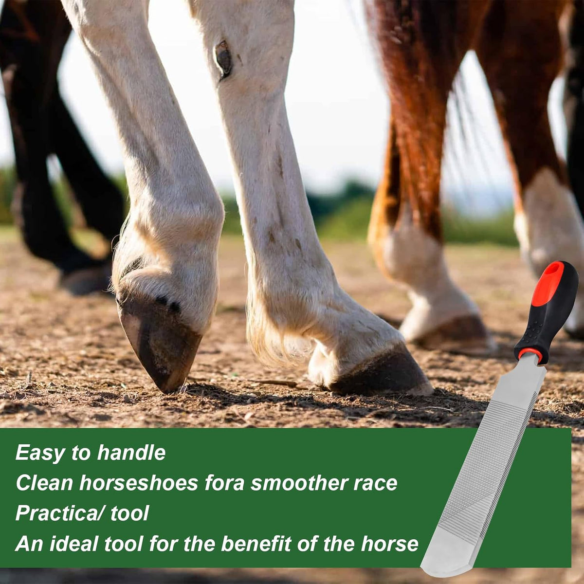12 Inch Hoof Rasp, Carbon Steel Farrier File with Handle