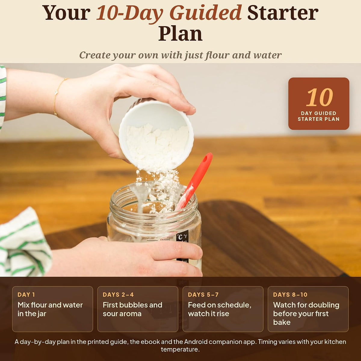 Sourdough Starter Kit for Beginners with Digital Scale
