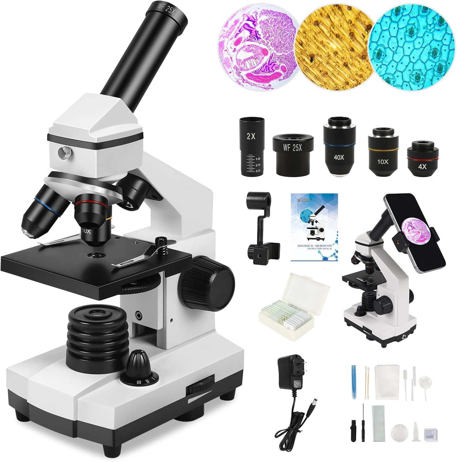 Microscope for Adults Professional:Compound Microscope for Kids 8-12,100X-2000X Kids Microscope Kit with Prepared