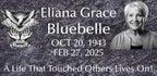 Bahama Blue LegacyHeadstone for Graves, 24x12x4 inches, Flat Gravestone