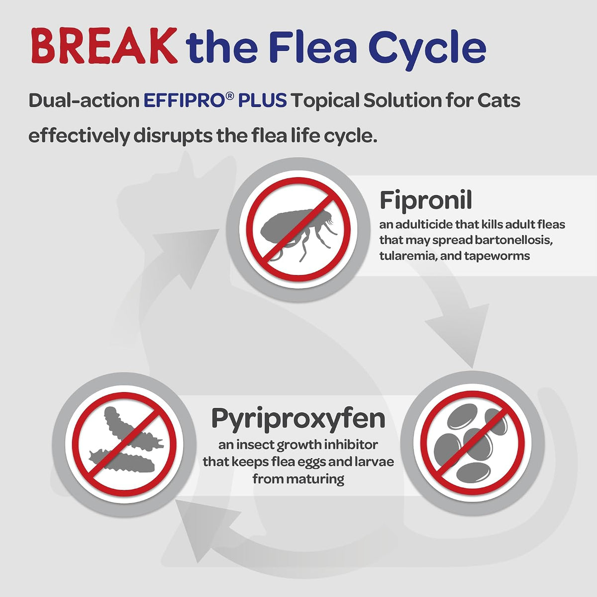 EFFIPRO Plus Topical Solution Waterproof Flea and Tick Cats Over 1.5 lbs