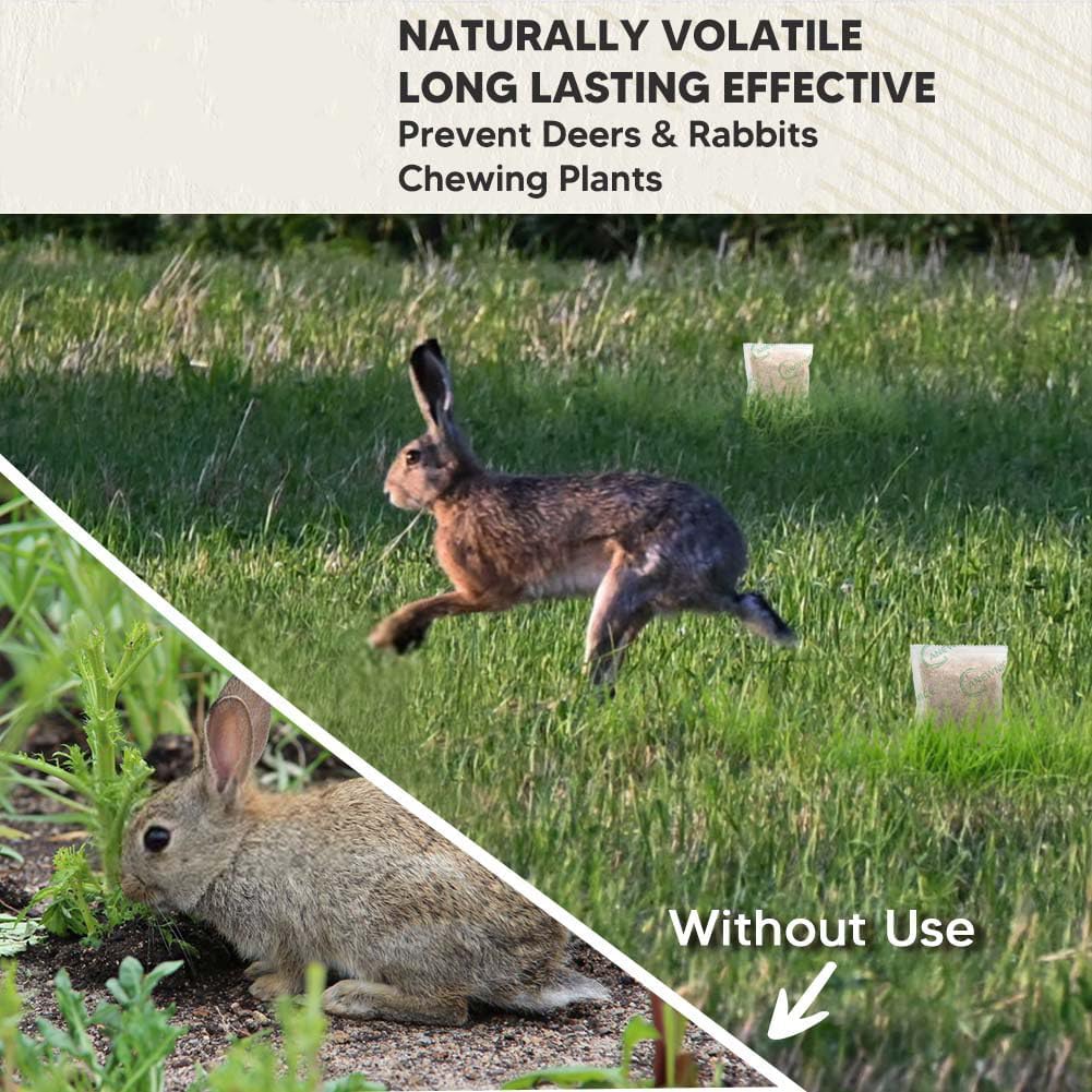 Deer Repellent for Plants, Rabbit Repellent Outdoor, Bunny Repellent, Naturally Repels Deer from Garden and Yard