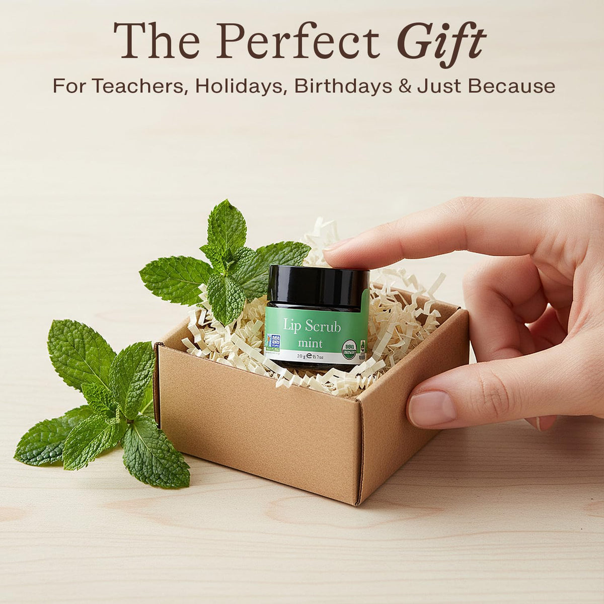 USDA Organic Lip Scrub Mint - USA Made with Natural Ingredients