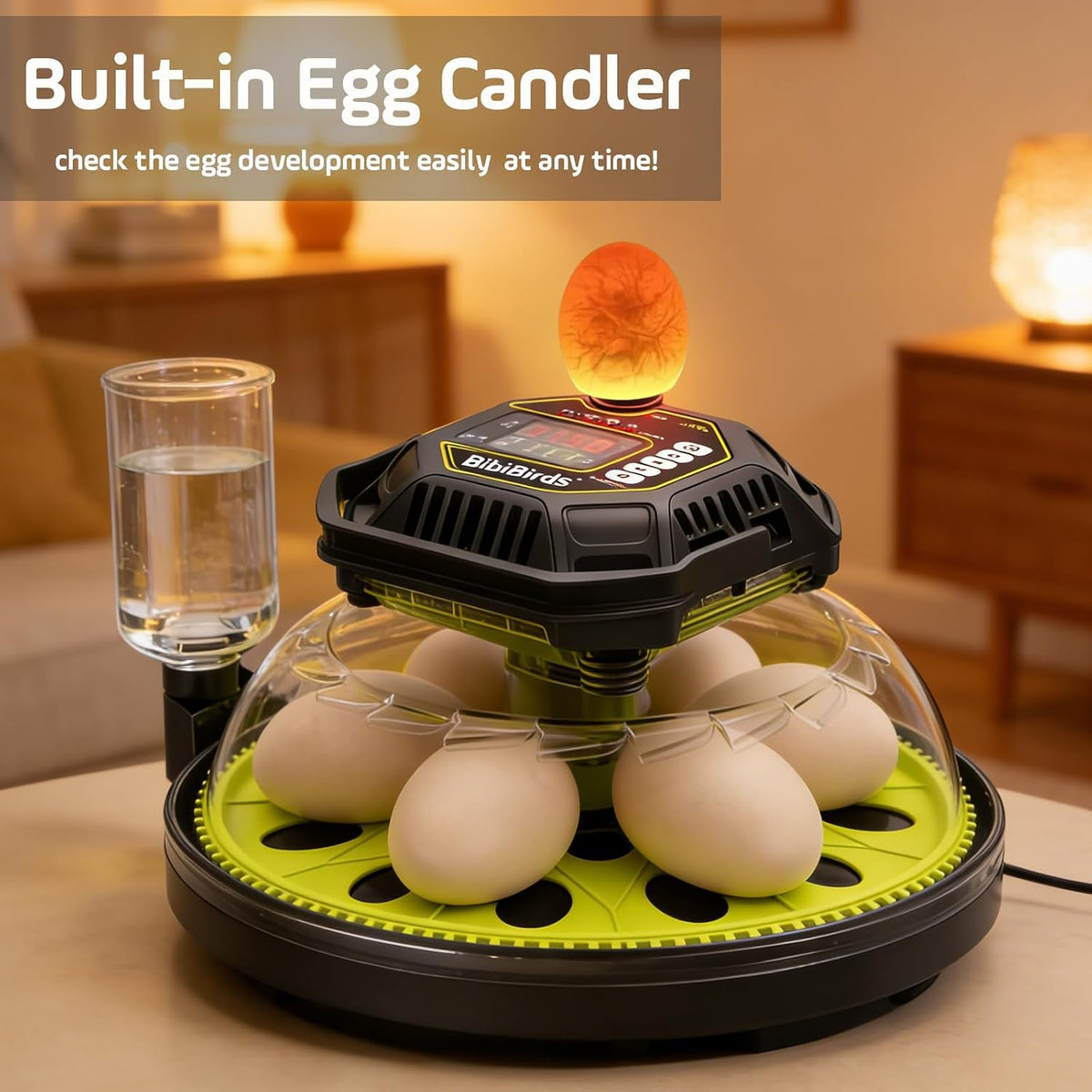 Egg Incubator with Auto Egg Turner and Lock 3Days Before Hatch,Temperature and Humidity Automatic Control with Day