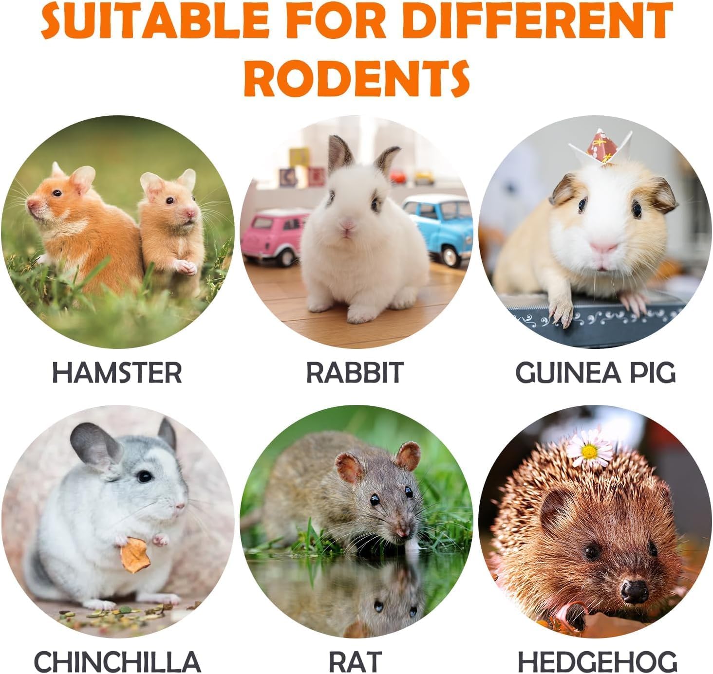 16Pcs Timothy Hay Treats - Natural Chews for Teeth - Handmade Rabbit, Chinchilla, Gerbil, Rat, Hamster Toys - Bunny &