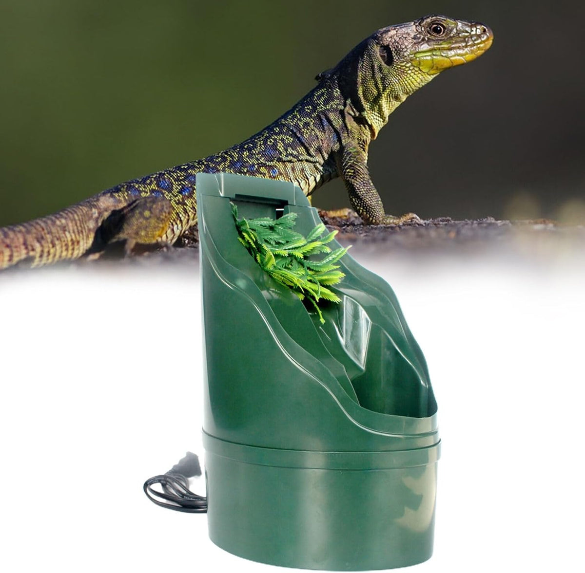 Reptile Chameleon Cantina Drinking Fountain Water Dripper Comes with Feeding Tongs Frosted Tweezer with Extra Pump