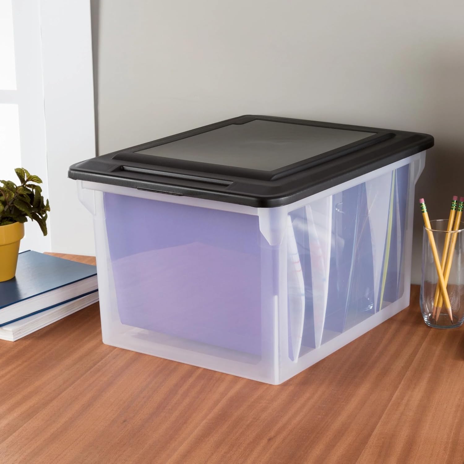 File Box, Clear Plastic Bin with Black Lid, Letter or Legal-Sized File Storage