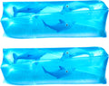 Dolphin Water Wiggler Toys (2-Pack) Water Snake Sensory Fidget Toys | Slippery Water Tubes for Kids, Birthday Party