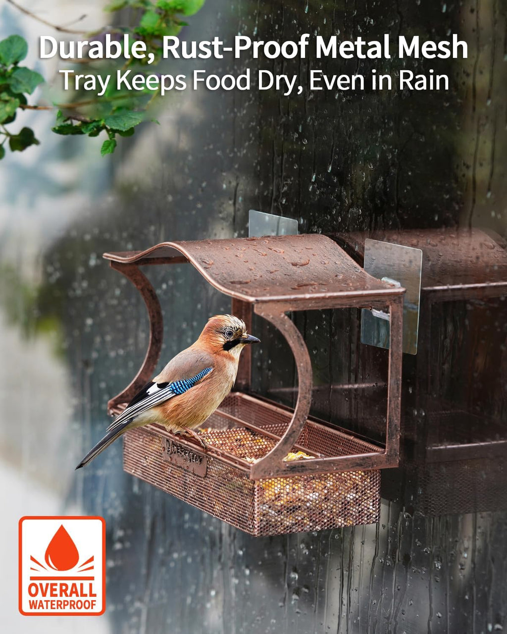 Window Bird Feeder with Strong Suction Cups, Metal Outdoor Gift - Curved