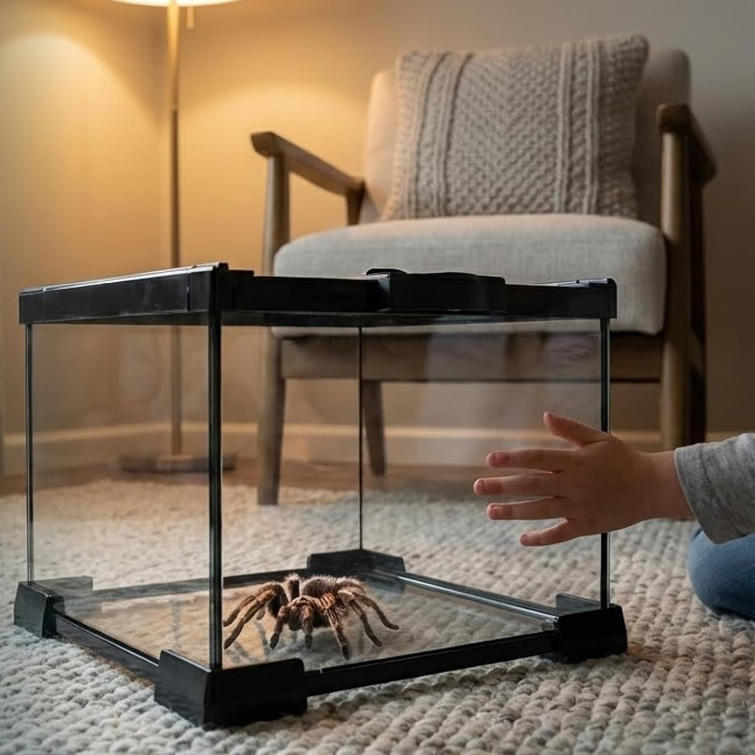 Small Glass Reptile Enclosure: 8x8x6 Full View Tarantula Enclosure | Lockable Sliding Screen Top Glass Terrarium