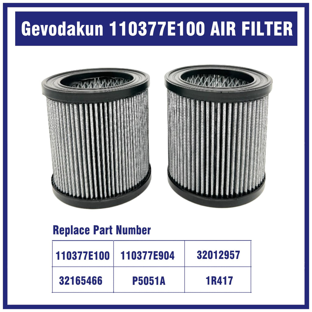 2 Pcs 110377E100 Air Filter for Quincy Air Compressor, Replace 32012957