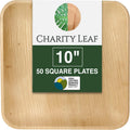 Compostable Bamboo 10" Square Dinner Plates (50-pack) | Premium, 100% Natural, Disposable, Heavy Duty | Perfect for