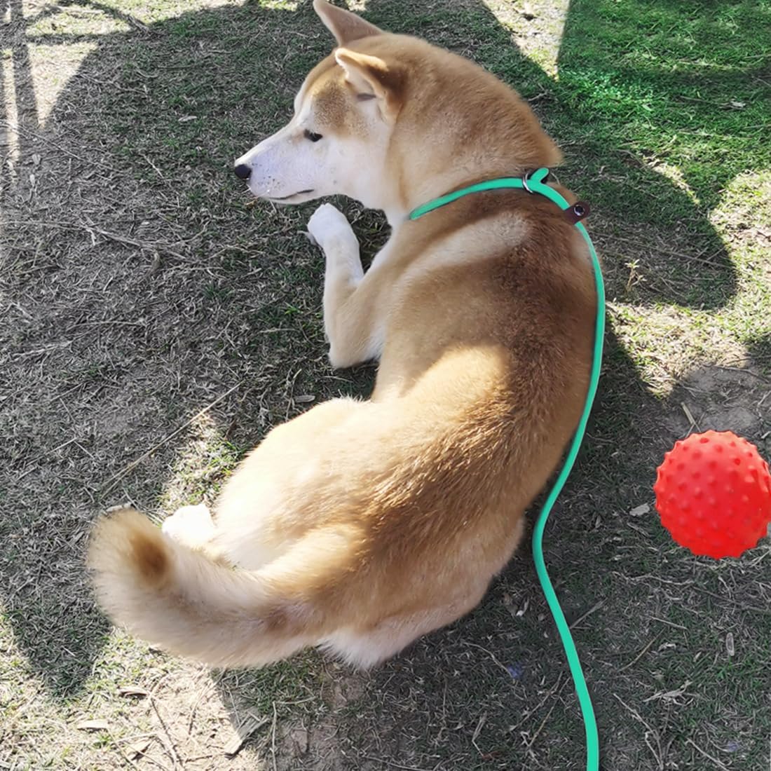 Slip Lead Control Leash for Dogs No Pull, 13+ Colors Classic Dog Lead 7 FT Pet Slip Leash, 1/4” Rope Leashes for
