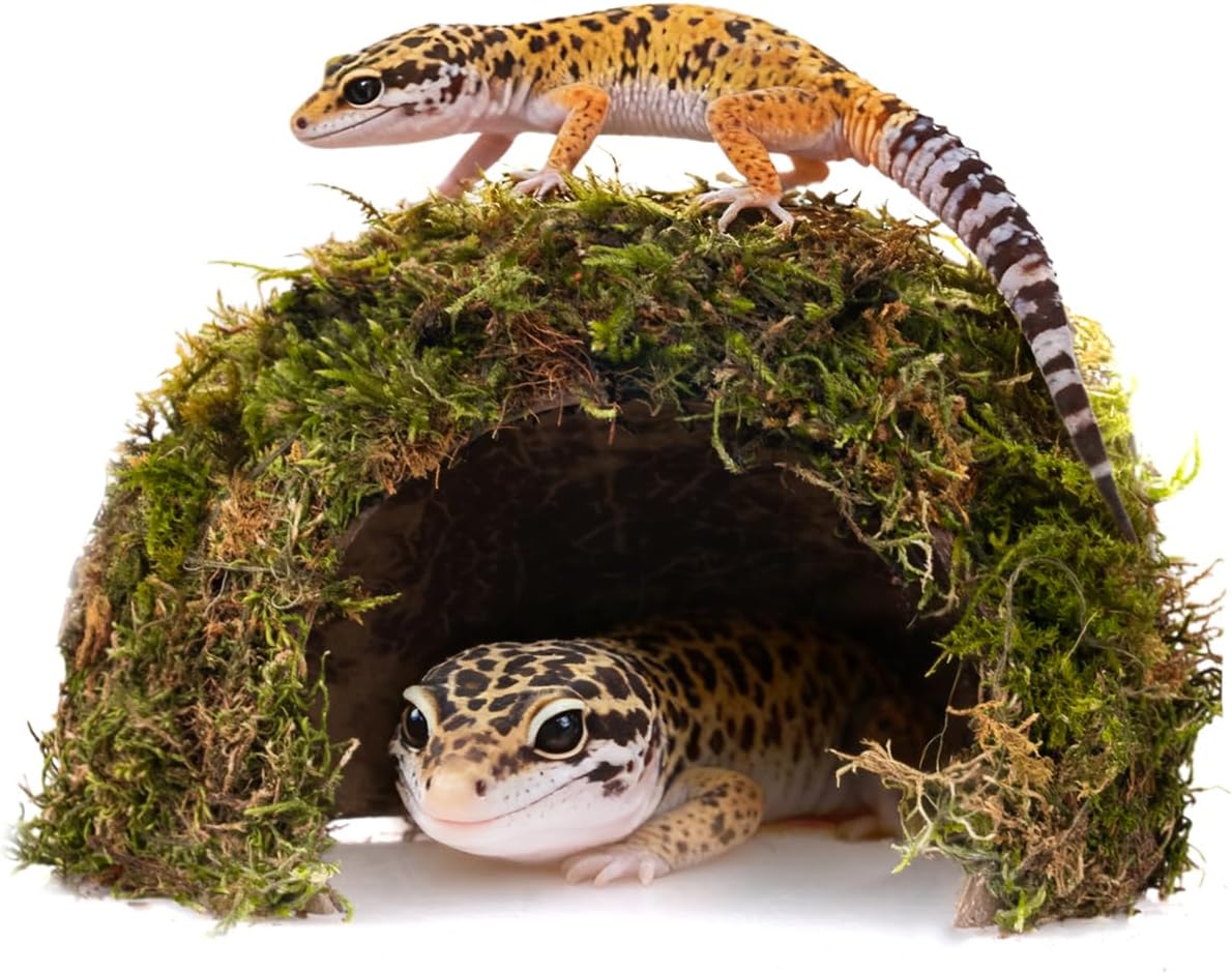Reptile Hides and Caves – Leopard Gecko Tank Accessories, Natural Dome Reptile Cave & Shelter, Gecko Tank Accessories