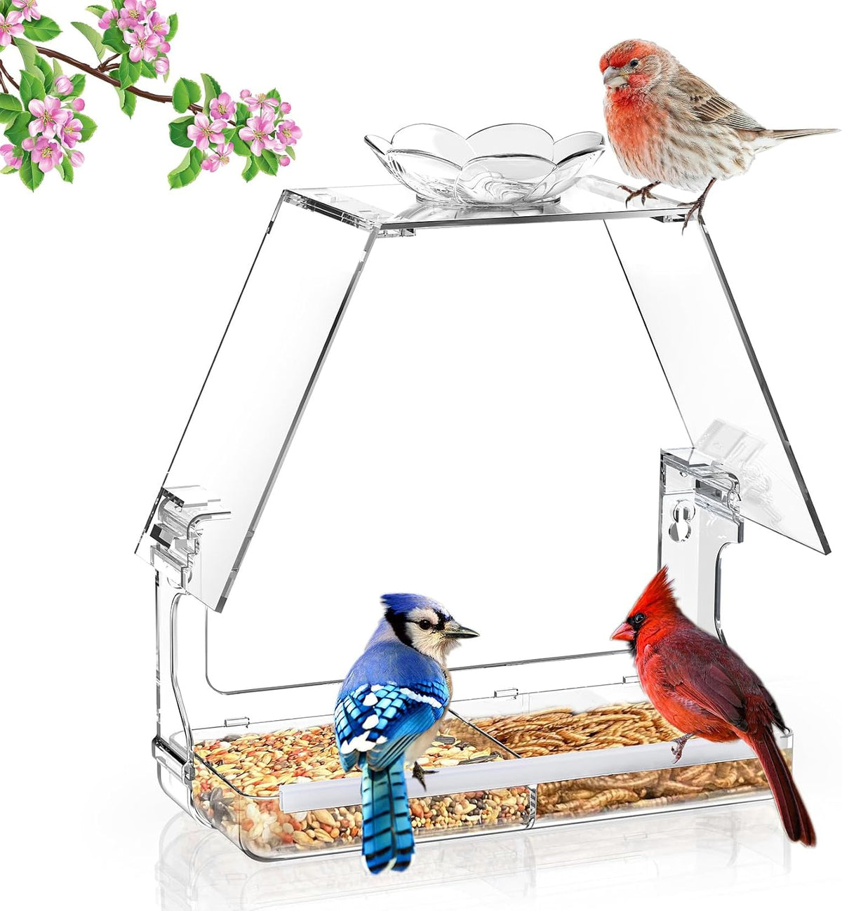 Window Bird Feeder with Non-Marking Self-Adhesive Hooks