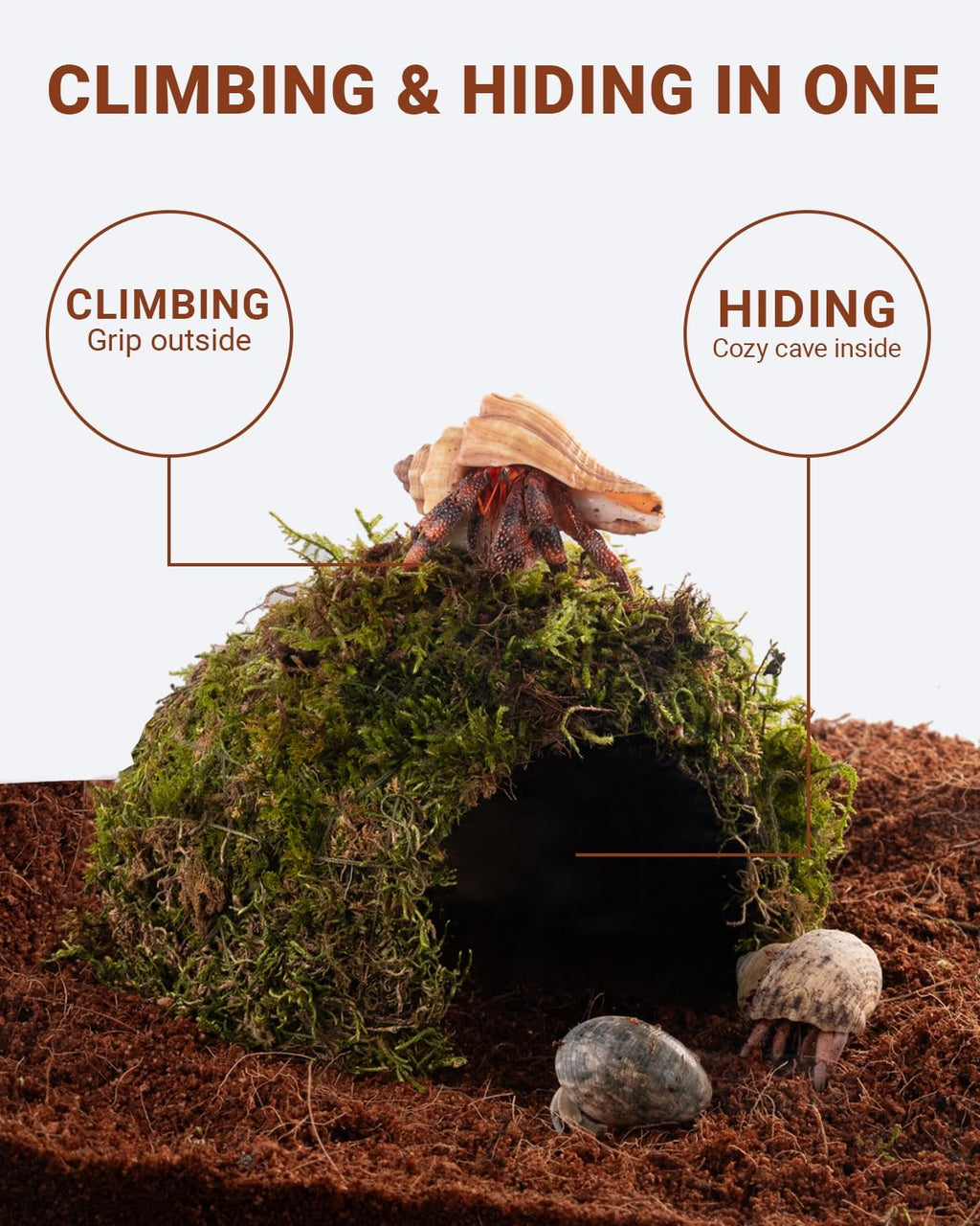 Reptile Hides and Caves – Leopard Gecko Tank Accessories, Natural Dome Reptile Cave & Shelter, Gecko Tank Accessories