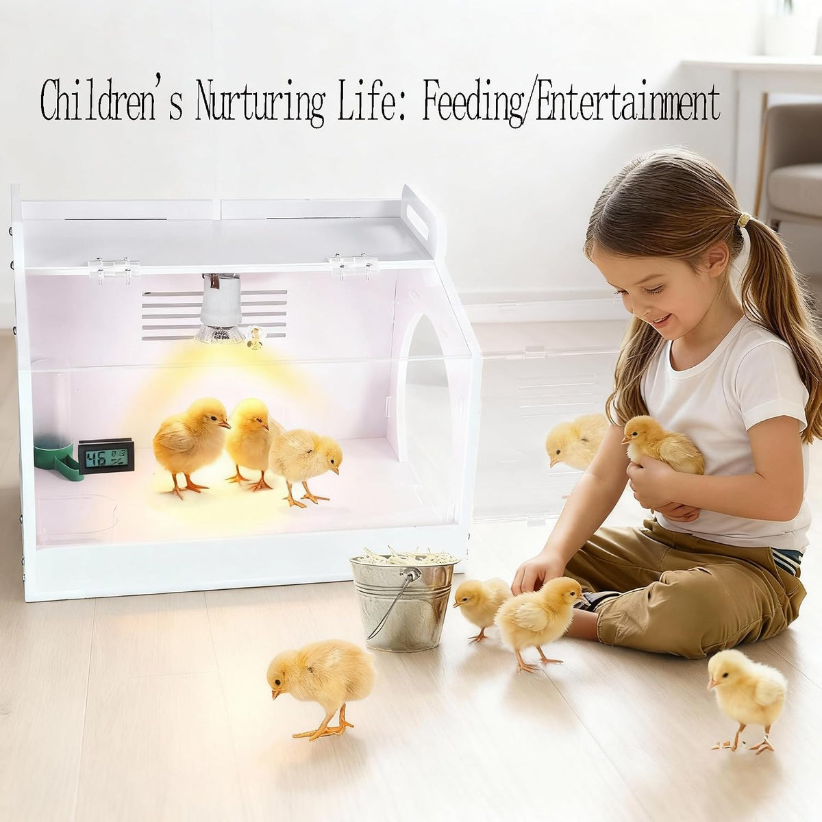 Iarge Scale Chick brooder Box Quail cage Egg Incubator Chicken brooder 20