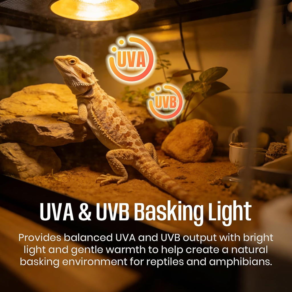 4-Pack 50W UVA+UVB Bulbs | Heat and Light for Reptiles and Amphibian Tanks, Terrariums and Cages | Works with Various