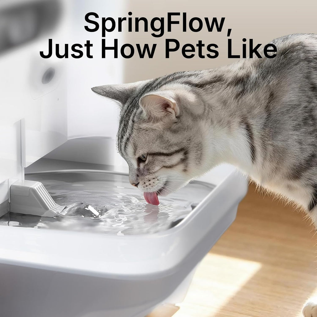 Eversweet Ultra Cat Water Fountain with AI Camera, Filterless