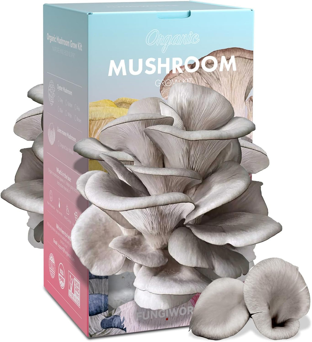 Organic Edible 4lbs Oyster Mushroom Growing Kit, Made in USA, Double-Side Mushroom Grow Kit Indoor, Harvest Gourmet