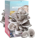 Organic Edible 4lbs Oyster Mushroom Growing Kit, Made in USA, Double-Side Mushroom Grow Kit Indoor, Harvest Gourmet