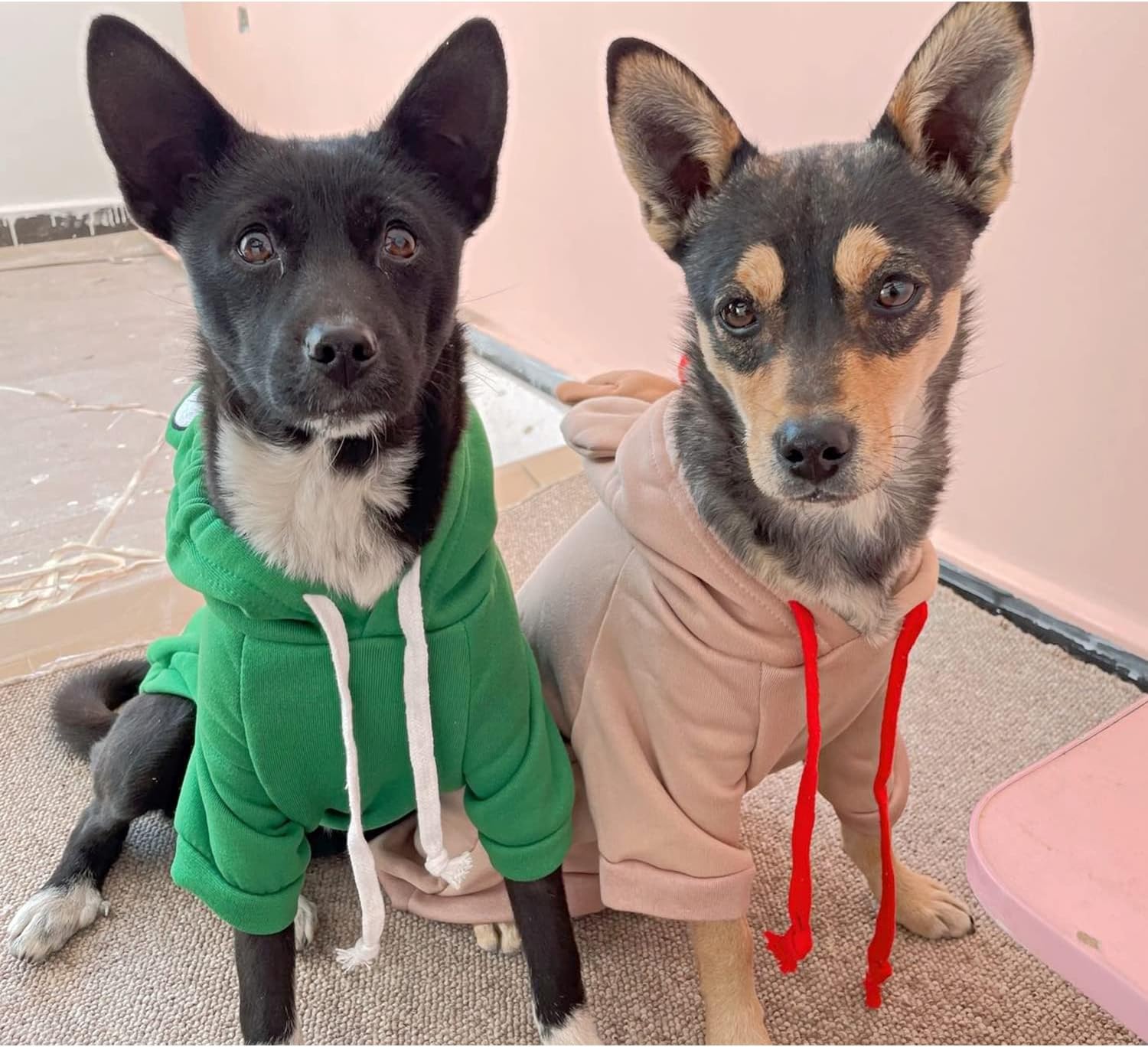 Dog Hoodie Basic Sweater Coat Cute - Frog Shape Warm Jacket Pet Cold Weather Clothes Outfit Outerwear for Cats Puppy