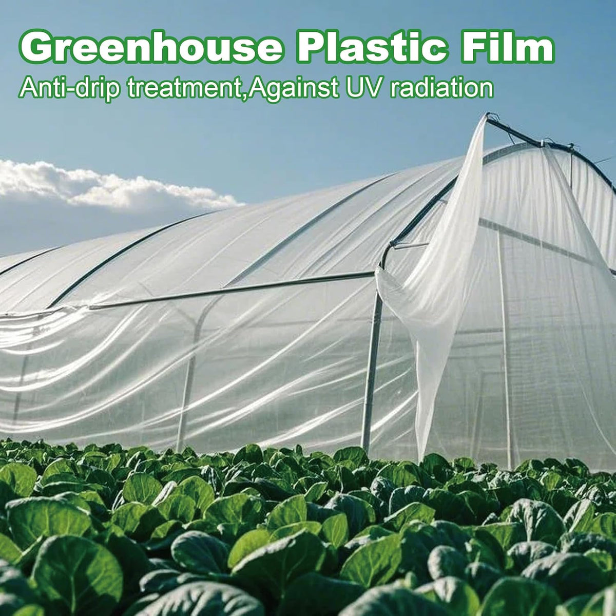 Greenhouse Plastic Sheeting 12 x 25ft - 6 Mil Clear Polyethylene Film, UV Resistant & Anti-Drip Heavy Duty Plastic