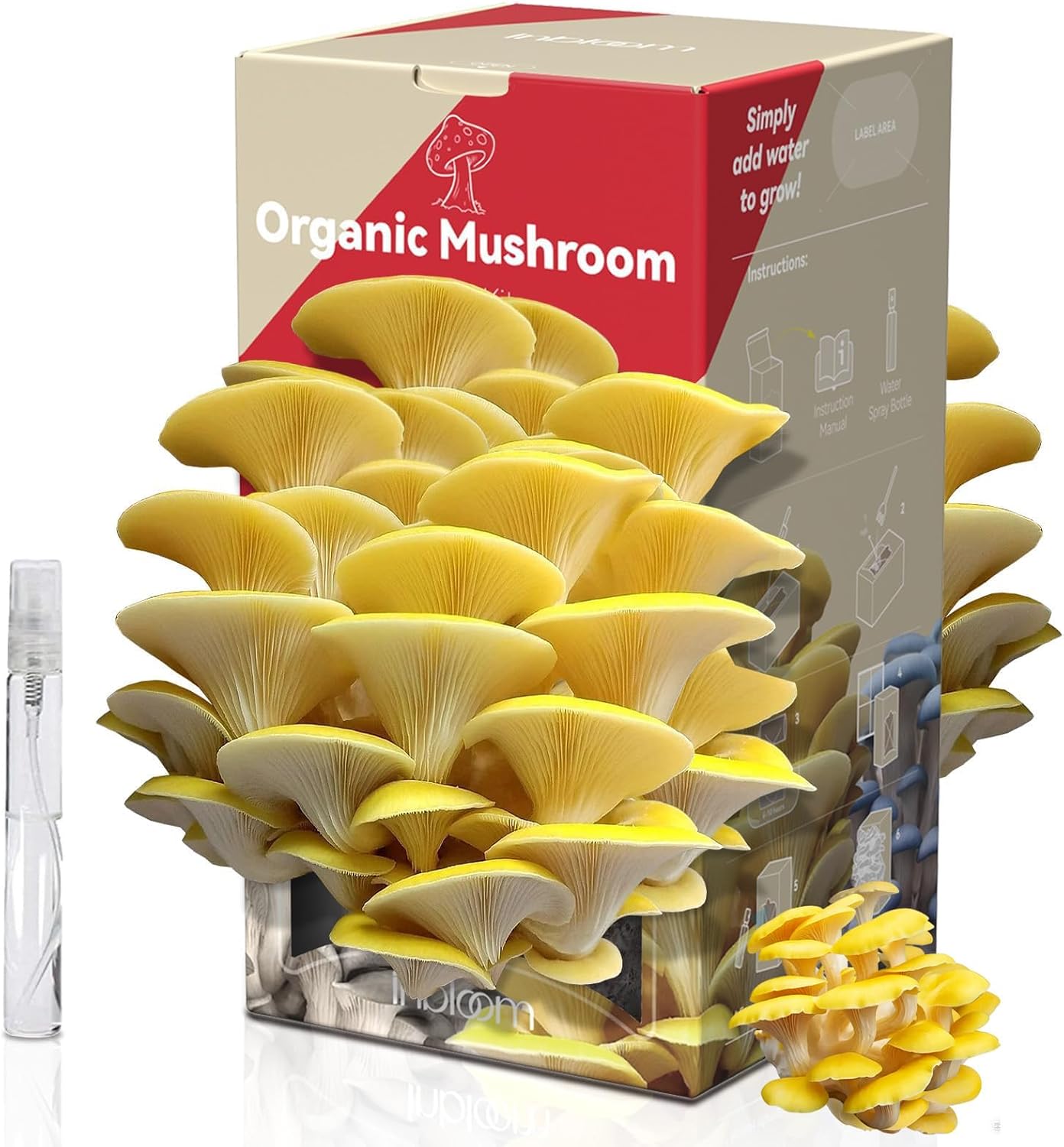 Large Organic Oyster Mushroom Growing Kit(4 lbs)